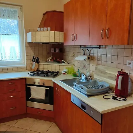 公寓 Jazmin Apartmanhaz 赛特古特哈德